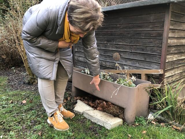 Die Kleingärten bieten auch einigen Igeln ein sicheres Zuhause. | Foto: BRS/Diabl