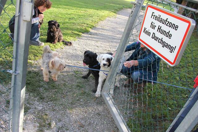 Hundewiesen, auf denen Giftköder gefunden wurden, werden von Polizei und Ordnungswache vermehrt bestreift. | Foto: Stadt Graz