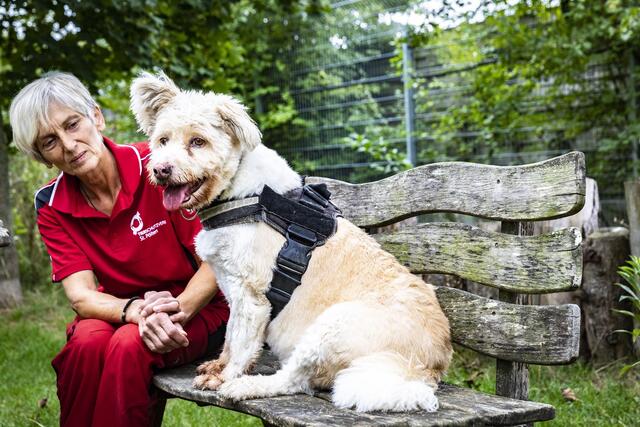 Die Mitarbeiter des Tierschutzvereins St. Pölten kümmern sich gut um ihre Schützlinge und hoffen auf die besten Plätze.