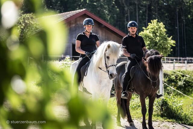Islandpferde haben einen besonders ausgeglichenen Charakter.  | Foto: Stuerzenbaum.com