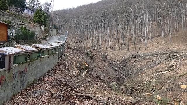 Am Rande der Kleingartenvereine wurde abgeholzt. | Foto: Umweltinitiative Wienerwald