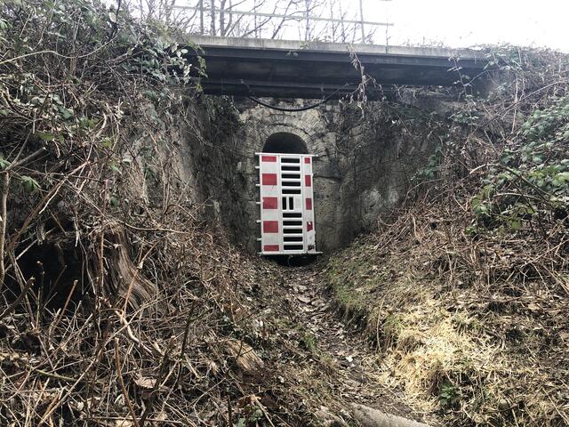 Der Fußgängertunnel in Mühlau wird zum Thema im Gemeinderat. | Foto: Linde
