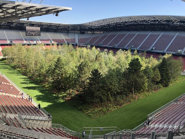 Das Kunstprojekt „For Forest" im Wörthersee-Stadion. | Foto: Polzer