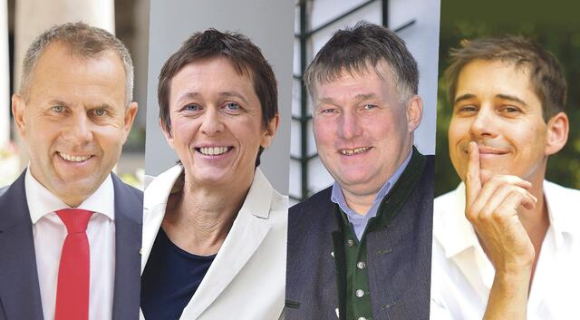 Rudolf Raffelsberger (ÖVP), Sabine Promberger (SPÖ), Markus Steinmaurer (FPÖ) und Reinhard Ammer (Grüne).  | Foto: Fotocollage: ÖVP Salzkammergut, SPÖ, FPÖ, Hutterer