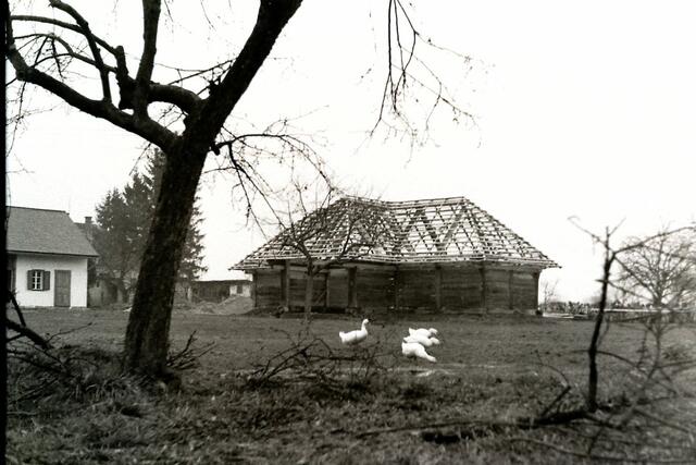 Foto: Eduard Sauerzopf und  Peter Sattler