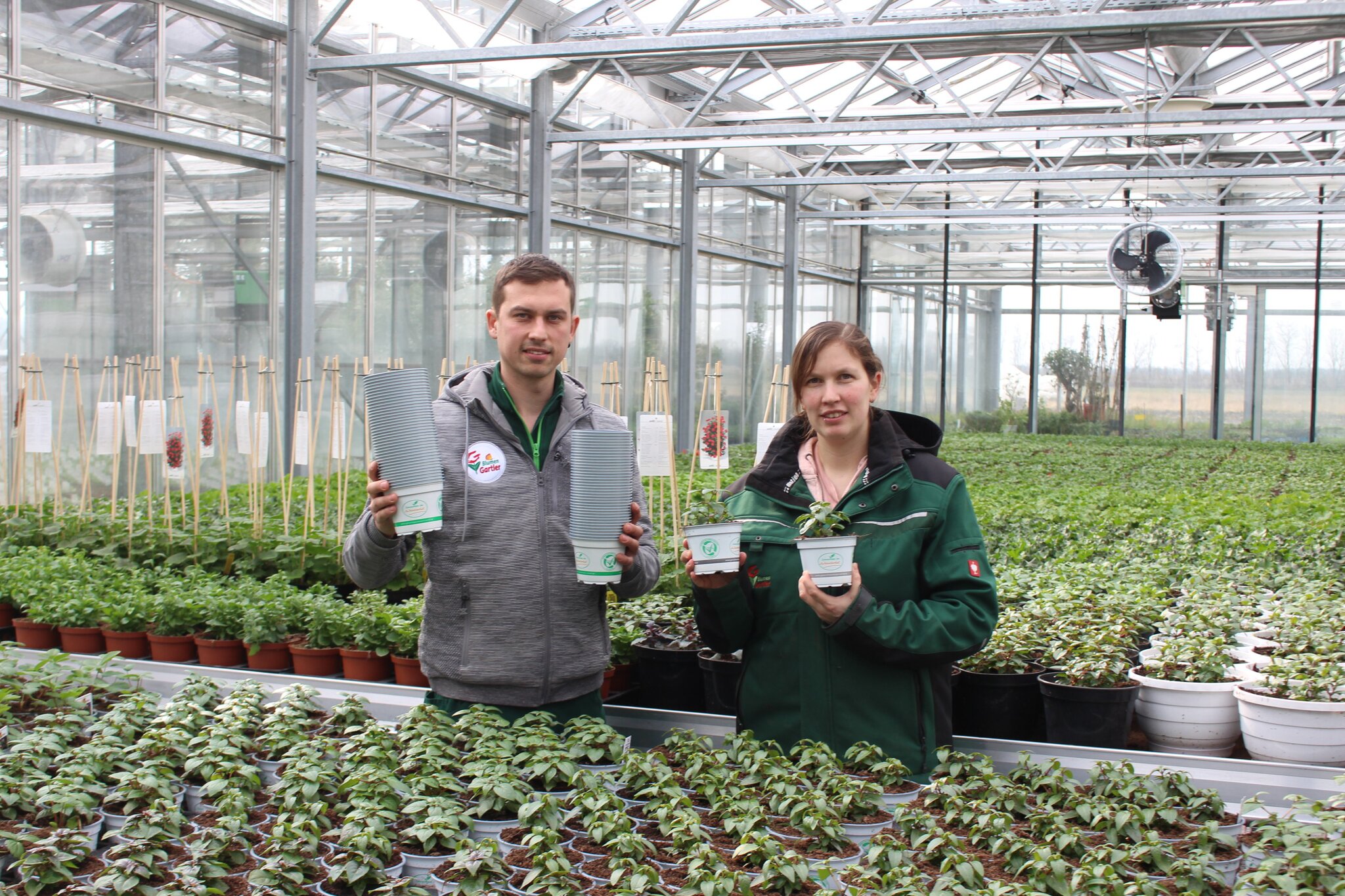 Gewachsen im Weinviertel Zwingendorfer Gärtner setzt neue Öko