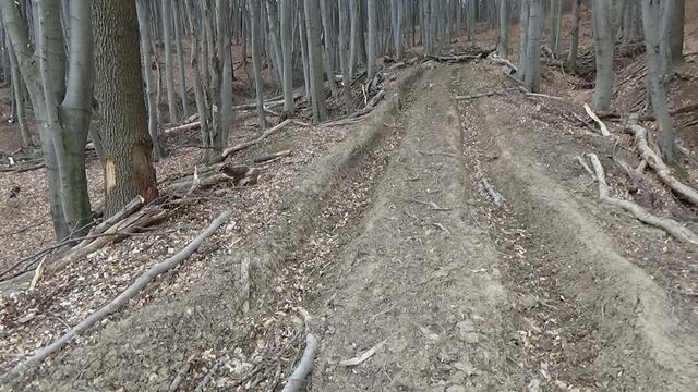 Foto: Umweltinitiative Wienerwald