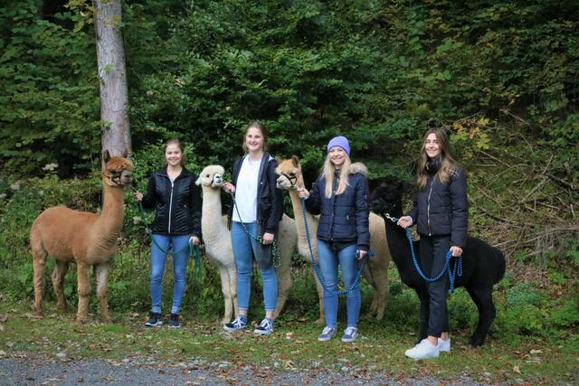 (v.l.n.r.) Lisa Horngacher, Sophia Lambauer, Pia Aster und Melanie Seiwald beim Alpakatrekking in Euring/Saalfelden | Foto: Monika Wimmer
