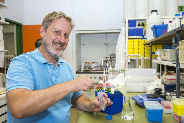 Das Team um Gerhard Obermeyer der PLUS forscht an Blütenpollen als Basis für Schutzschichten an Fassaden und Wundauflagen. | Foto: Plus/Andreas Kolarik