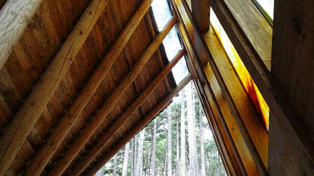 ... der Ausgang weitet sich großzügig in Richtung Föhrenwald! ...  | Foto: S.Plischek