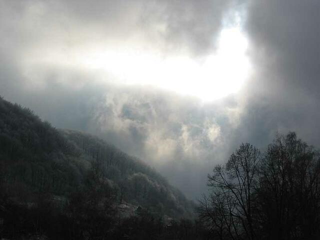 Foto: Harald Luckerbauer