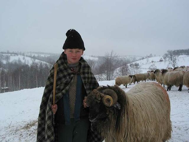 Sohn eines Schafhirten in Tirsa | Foto: Harald Luckerbauer