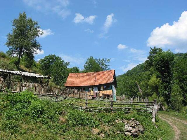 Foto: Harald Luckerbauer