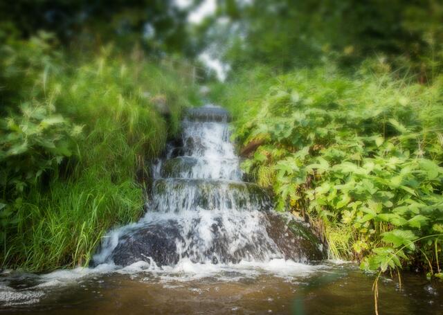 Foto: Karl Wiesinger