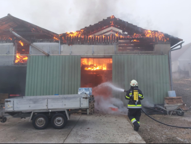 110 Mann der Freiwilligen Feuerwehren waren bei dem Einsatz in Zöbing dabei. | Foto: BFV Weiz / Friedl (4x)