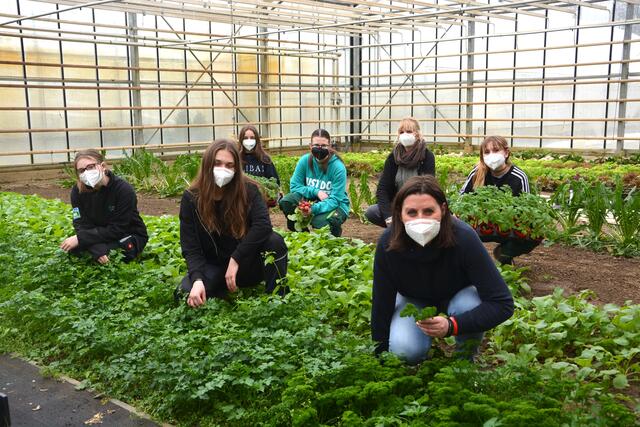 Es grünt so grün: in der Gartenbauschule Großwilfersdorf  laufen die Frühjahrsarbeiten auf Hochtouren. 