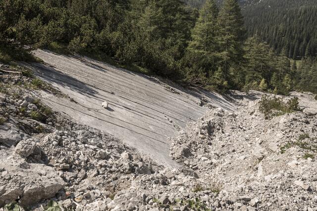 Der Klimawandel bringt Herausforderungen mit sich, wie hier das Beispiel Schiffwald in der Naturparkgemeinde Wildalpen zeigt. | Foto: Peterherr