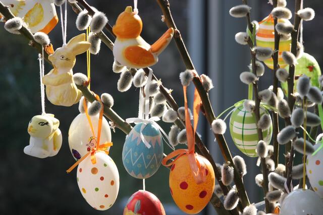 Palmkätzchen gehören zu Ostern. Aber bitte keine wilden Äste schneiden. | Foto: Stock_Adobe