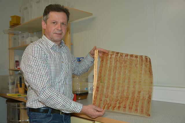 Imkermeister Werner Kurz mit einem bereits mit Propolis verkitteten Propolisgitter.