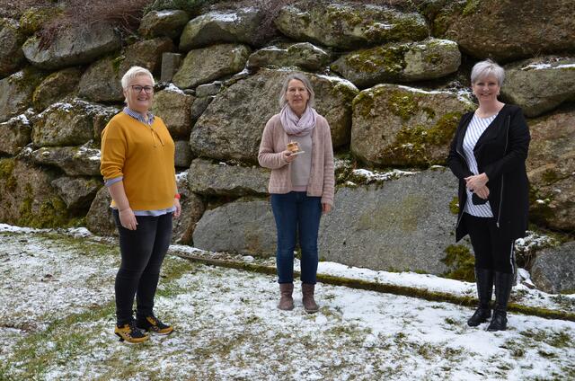 Lebenshaus Stützpunktleiterin und Vizebürgermeisterin der Marktgemeinde Oberneukirchen-Waxenberg-Traberg, Anneliese Bräuer, Anita Merl und Andrea Langes (beide OÖ Familienbund)
