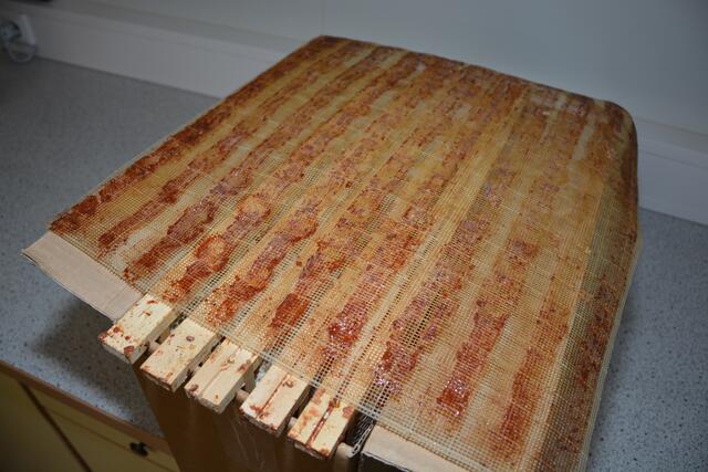 Das Propolisgitter wird auf die Bienenwaben aufgelegt und von den Bienen mit dem Harz zugekittet.