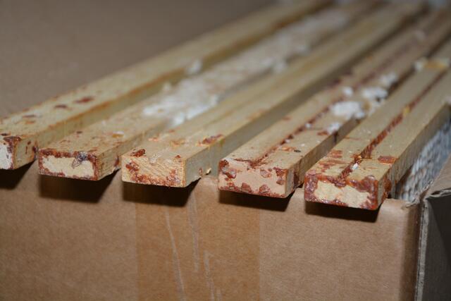 Zum Schutz gegen Keime und Bakterien kleiden Bienen ihre Waben, sowie den gesamten Stock mit Propolis aus.