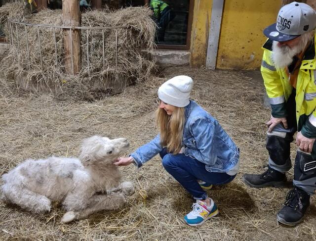 Als Erster des kleinen Trios kam der weiße Kamelhengst Simba zur Welt, und genießt es jetzt, von Manuela Hermann "abgeknuddelt" zu werden. 