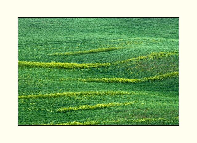 13_IMG_6345 | Foto: © by Ing. Günter Kramarcsik