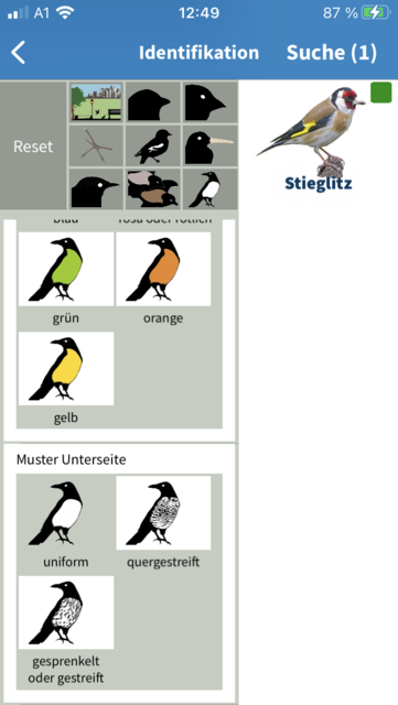 Mit unserem App-Tipp der Woche "Nabu Vogelwelt" kann man anhand typischer Federkleider und über 1000 Fotos von heimischen Vögeln diese bestimmen. Erhältlich für iOS und Android. | Foto: Screenshot
