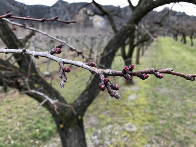 Foto: Doris Necker