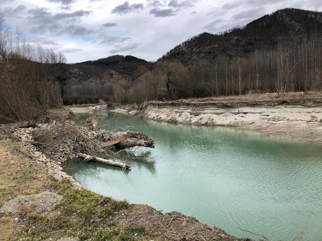 Natura 2000 renaturiert einen Donau-Altarm. | Foto: Doris Necker