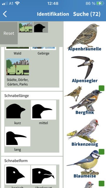 Mit unserem App-Tipp der Woche "Nabu Vogelwelt" kann man anhand typischer Federkleider und über 1000 Fotos von heimischen Vögeln diese bestimmen. Erhältlich für iOS und Android. | Foto: Screenshot