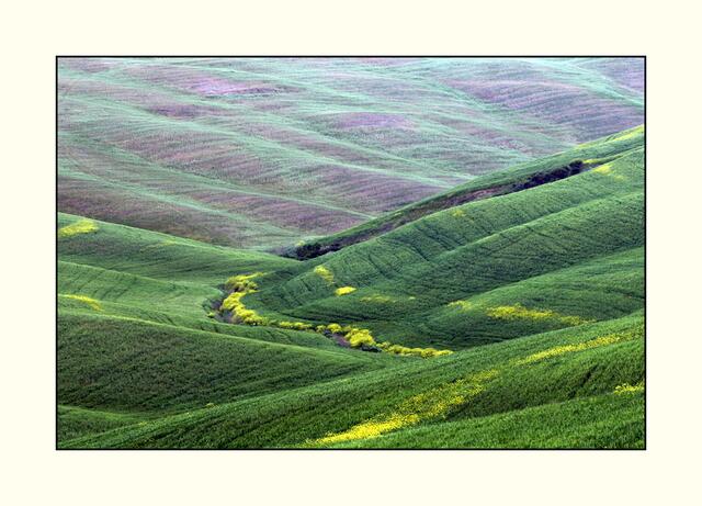 12_IMG_6335 | Foto: © by Ing. Günter Kramarcsik