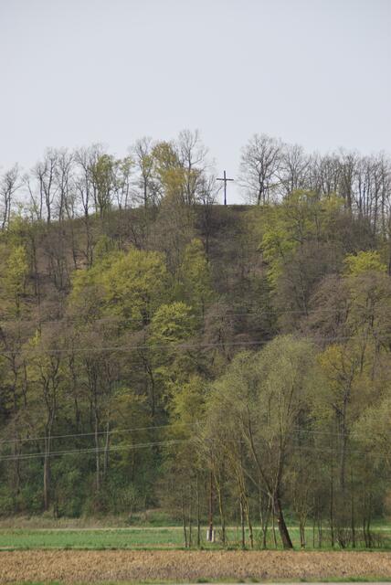 Der Tobajer Kogel ist vulkanischen Ursprungs und bekannt für seine reichhaltige Pflanzenwelt. | Foto: Martin Wurglits