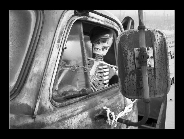 IMG_8967_eisiger Tod | Foto: © by Ing. Günter Kramarcsik