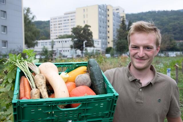 Frische Ernte beim urbanen Gärtnern. | Foto: MORGENTAU GÄRTEN