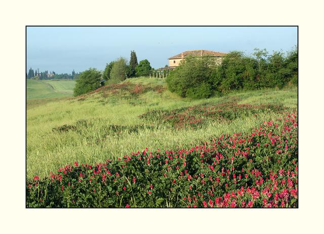 16_Crete_IMG_1141 | Foto: © by Ing. Günter Kramarcsik