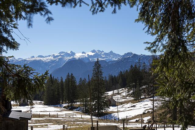 Blick über die "Rossmoosalm" zum "Dachsteinmassiv"!