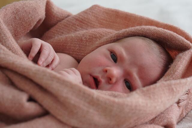 Josephine Daniela
Geburt: 05. Dezember
Eltern: Victoria und Michael Kreiner, Fehring
3.280 g, 50 cm | Foto: KK