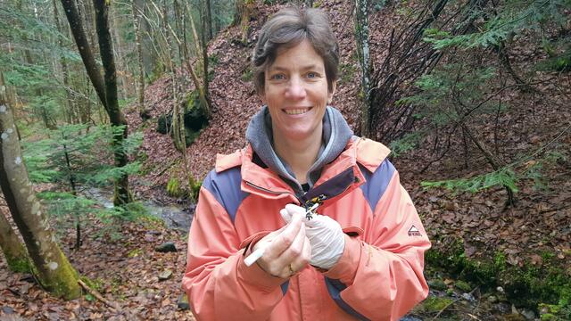 Projektleiterin Karina Smole-Wiener von der Arge Naturschutz.  | Foto: Arge Naturschutz