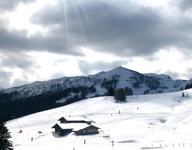 Skifoan is des leidwandste... | Foto: Kogler