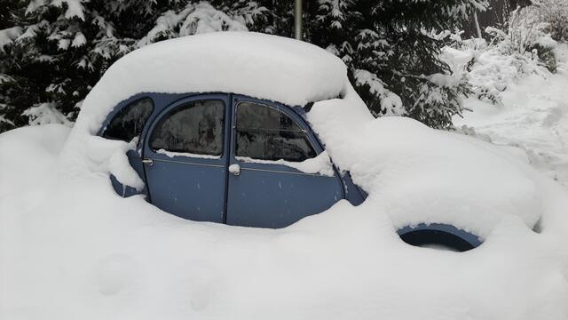 Wintereinbruch in Salzburg - arme Ente, musst du schnell ausgegraben werden!!!!