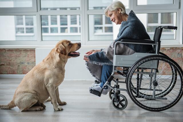 Hunde finden oft einen Weg zu Menschen, die sonst nicht viel von sich erzählen würden.  | Foto: Foto: Yakobchuk Olena.stock.adobe.com