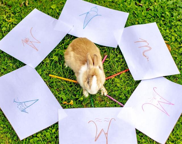 Foto: Magdalena Kritzinger