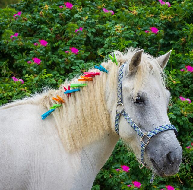 Foto: Magdalena Kritzinger