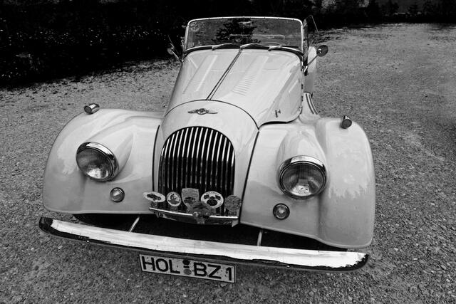 IMG_9045 Morgan | Foto: © by Ing. Günter Kramarcsik