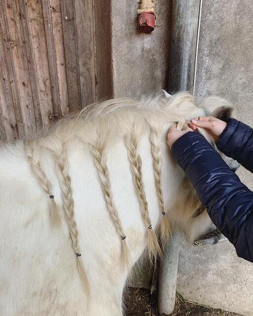 Foto: Magdalena Kritzinger