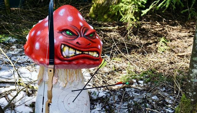 Der 3D-Bogenparcours in Ampflwang ist ein Erlebnis für die ganze Familie.  | Foto: Hausruckpark Ampflwang