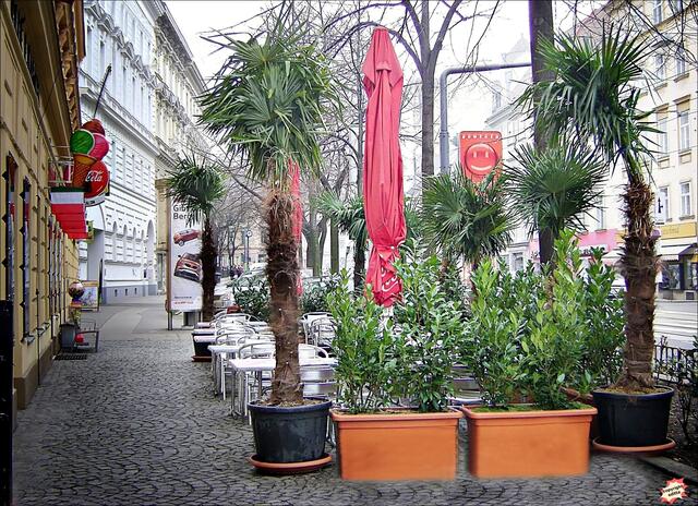 In Tirol, Salzburg, Oberösterreich, Steiermark und Kärnten ändert sich nichts. Die Experten hätten keine Öffnungen empfohlen, aber auch keine Verschärfungen, so Kurz. Bedenklich ist die Lage in der Ostregion.  | Foto: Edith S.