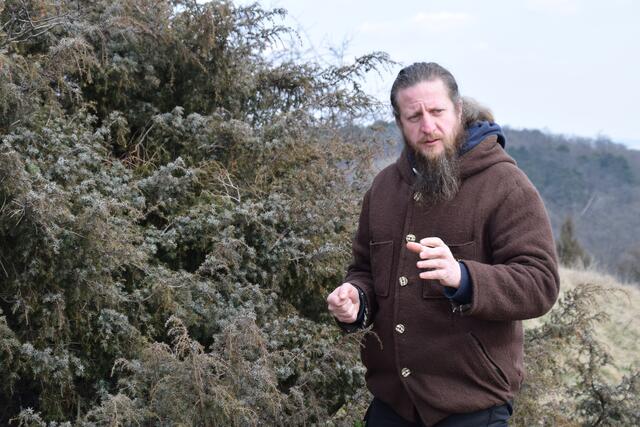 Naturpark-Ranger Alexander Ernst sammelt Wacholderbeeren ein. | Foto: Sandra Schütz